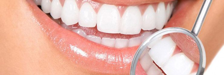 check-up | JK Dental